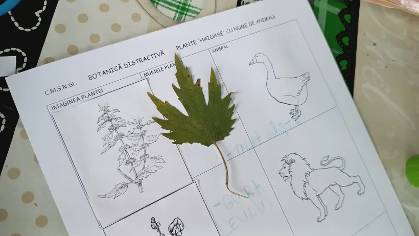 Proiectul educațional „Curiozități din lumea plantelor și animalelor”, la Complexul Muzeal de Științele Naturii Galați